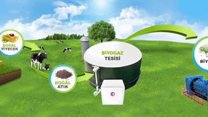Biyogaz Fizibilite Raporu