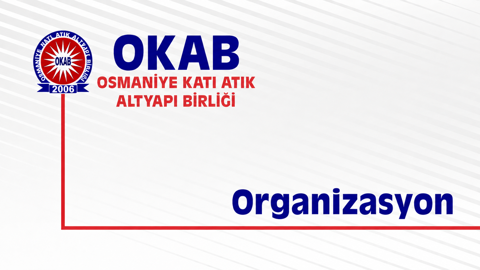 Organizasyon